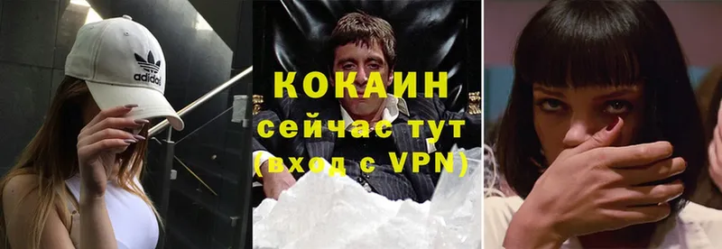 сколько стоит  Тайга  COCAIN FishScale 