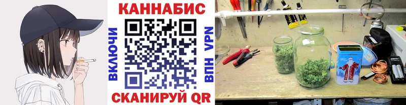 Шишки марихуана AK-47 Тайга